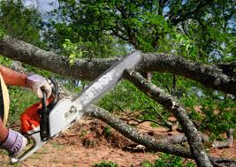 Mulching Services in Carter, TX