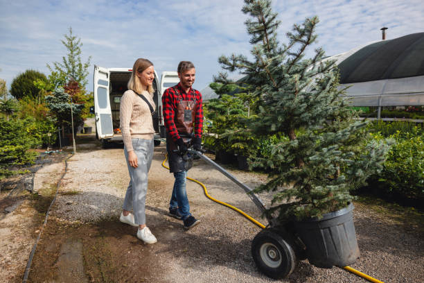 How Our Tree Care Process Works  in  Carter, TX